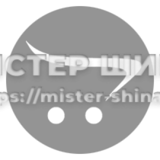 12 R24 Triangle TR691. Ведущая